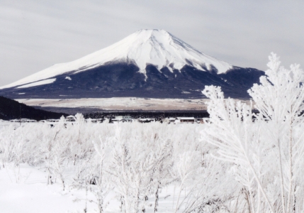 富士山と霧氷